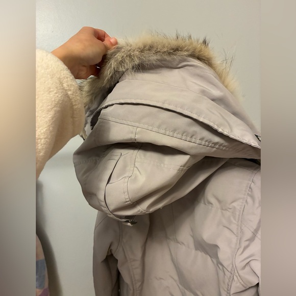 AUTHENTIC CANADA GOOSE Parka Jacket moonstone grey | looks new | coyote fur - Picture 6 of 17